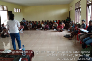 Program CSA Kementan Bantu Petani NTT Lebih Produktif