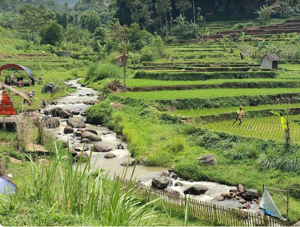 Desa Wisata Baros Bandung ini adalah salah satu destinasi di Jawa Barat yang menawarkan kesegaran suasana yang asri di tengah sawah-sawah.