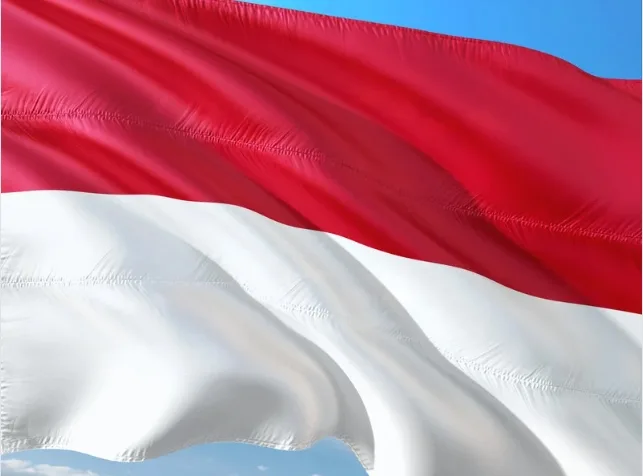 Bendera Merah Putih: Simbol Sejarah, Perjuangan, dan Kebanggaan Bangsa